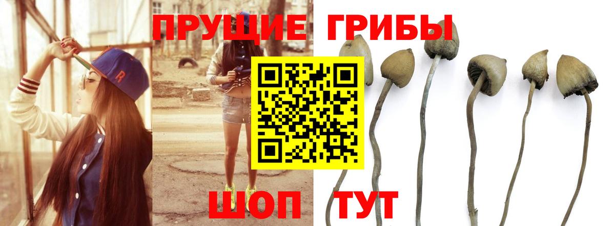 Галлюциногенные грибы мухоморы Зеленокумск